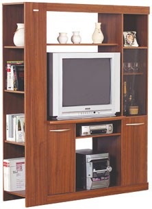 Modular para tv-audio con biblioteca! $843